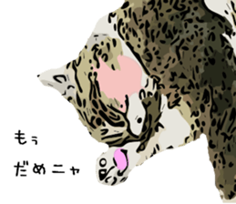 Cat Cat  Cat sticker #10378959