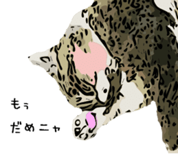 Cat Cat  Cat sticker #10378959