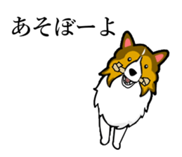 Shetland Sheepdog Sticker vo1 sticker #10379043