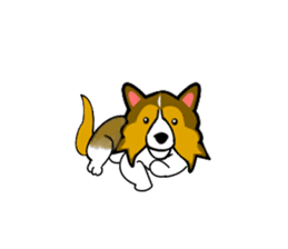 Shetland Sheepdog Sticker vo1 sticker #10379047