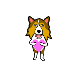 Shetland Sheepdog Sticker vo1 sticker #10379057