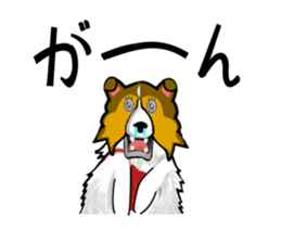 Shetland Sheepdog Sticker vo1 sticker #10379065