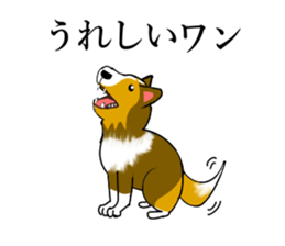 Shetland Sheepdog Sticker vo1 sticker #10379068