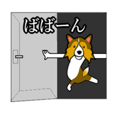 Shetland Sheepdog Sticker vo1 sticker #10379071