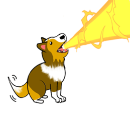 Shetland Sheepdog Sticker vo1 sticker #10379072