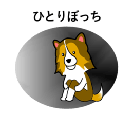 Shetland Sheepdog Sticker vo1 sticker #10379073