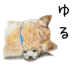 Favorite parts of SHIBAINU 7 sticker #10381561