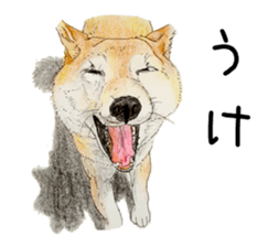 Favorite parts of SHIBAINU 7 sticker #10381562