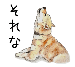 Favorite parts of SHIBAINU 7 sticker #10381565
