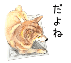 Favorite parts of SHIBAINU 7 sticker #10381566