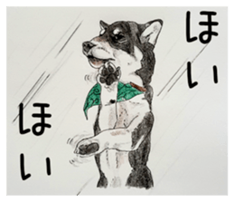 Favorite parts of SHIBAINU 7 sticker #10381567