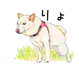 Favorite parts of SHIBAINU 7 sticker #10381568