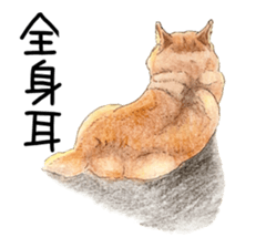 Favorite parts of SHIBAINU 7 sticker #10381569