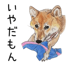 Favorite parts of SHIBAINU 7 sticker #10381572