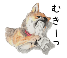 Favorite parts of SHIBAINU 7 sticker #10381574