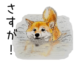 Favorite parts of SHIBAINU 7 sticker #10381578