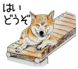 Favorite parts of SHIBAINU 7 sticker #10381579