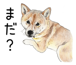 Favorite parts of SHIBAINU 7 sticker #10381581