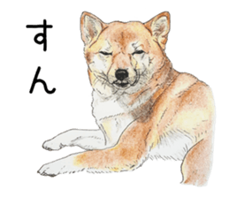Favorite parts of SHIBAINU 7 sticker #10381584