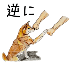 Favorite parts of SHIBAINU 7 sticker #10381585