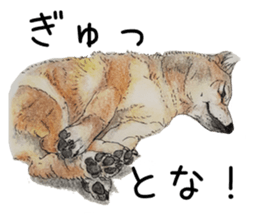 Favorite parts of SHIBAINU 7 sticker #10381586