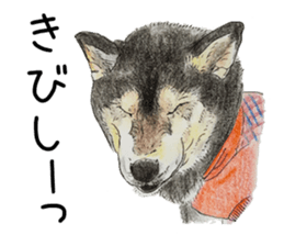 Favorite parts of SHIBAINU 7 sticker #10381588