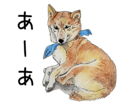 Favorite parts of SHIBAINU 7 sticker #10381589