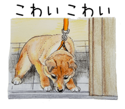 Favorite parts of SHIBAINU 7 sticker #10381590