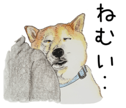 Favorite parts of SHIBAINU 7 sticker #10381593