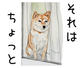 Favorite parts of SHIBAINU 7 sticker #10381597