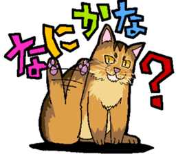 Abyssinian-Cat sticker #10382443
