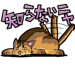Abyssinian-Cat sticker #10382444