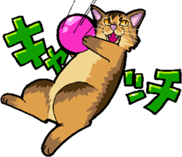Abyssinian-Cat sticker #10382445