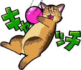 Abyssinian-Cat sticker #10382445