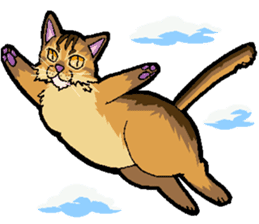 Abyssinian-Cat sticker #10382446