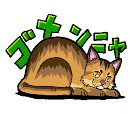 Abyssinian-Cat sticker #10382447