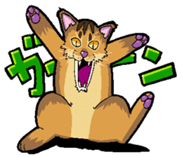 Abyssinian-Cat sticker #10382448