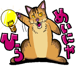 Abyssinian-Cat sticker #10382449