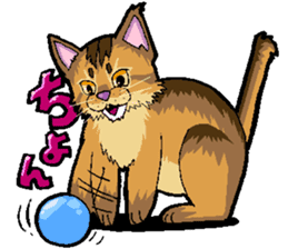 Abyssinian-Cat sticker #10382450