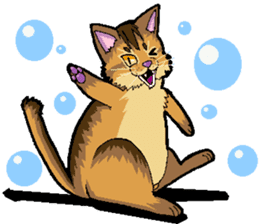 Abyssinian-Cat sticker #10382451