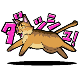 Abyssinian-Cat sticker #10382452