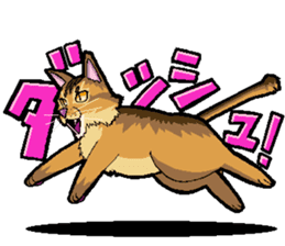 Abyssinian-Cat sticker #10382452