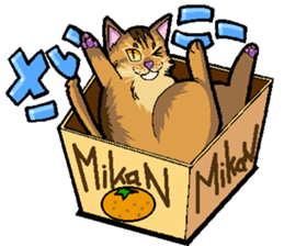 Abyssinian-Cat sticker #10382453