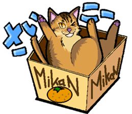 Abyssinian-Cat sticker #10382453
