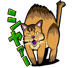 Abyssinian-Cat sticker #10382454