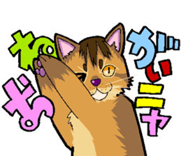 Abyssinian-Cat sticker #10382455