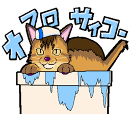 Abyssinian-Cat sticker #10382456