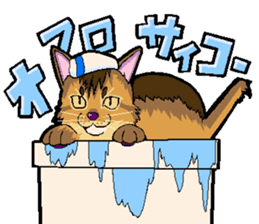 Abyssinian-Cat sticker #10382456