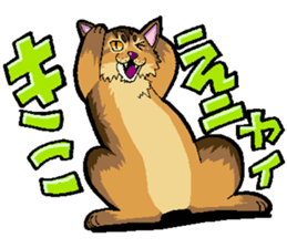 Abyssinian-Cat sticker #10382459