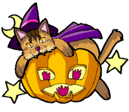 Abyssinian-Cat sticker #10382465